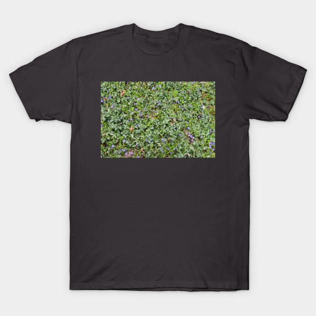 All Over Tiny Purple Flowers T-Shirt by Tenpmcreations